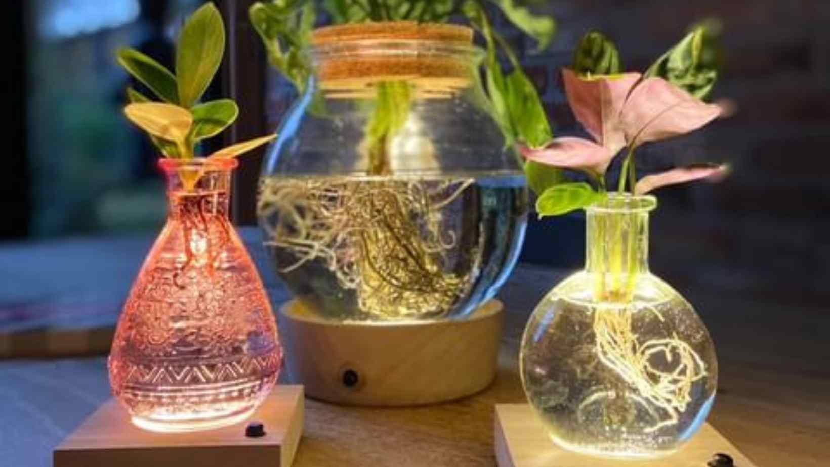 tof-thuiskomen-yfs-dreamliving-lichtplantjes-instagram-wooninfluencer